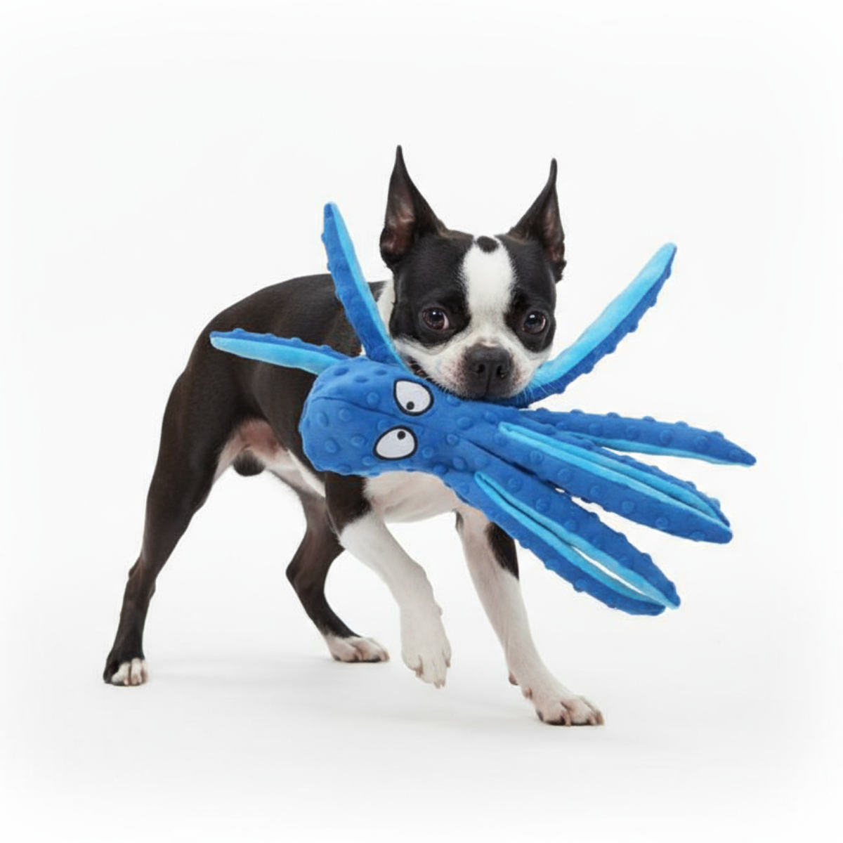 Octopus Dog Toy