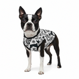 Paisley Pup - Boston Terrier Dog Tank Top