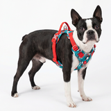 TrueLove Camouflage Reflective Dog Harness