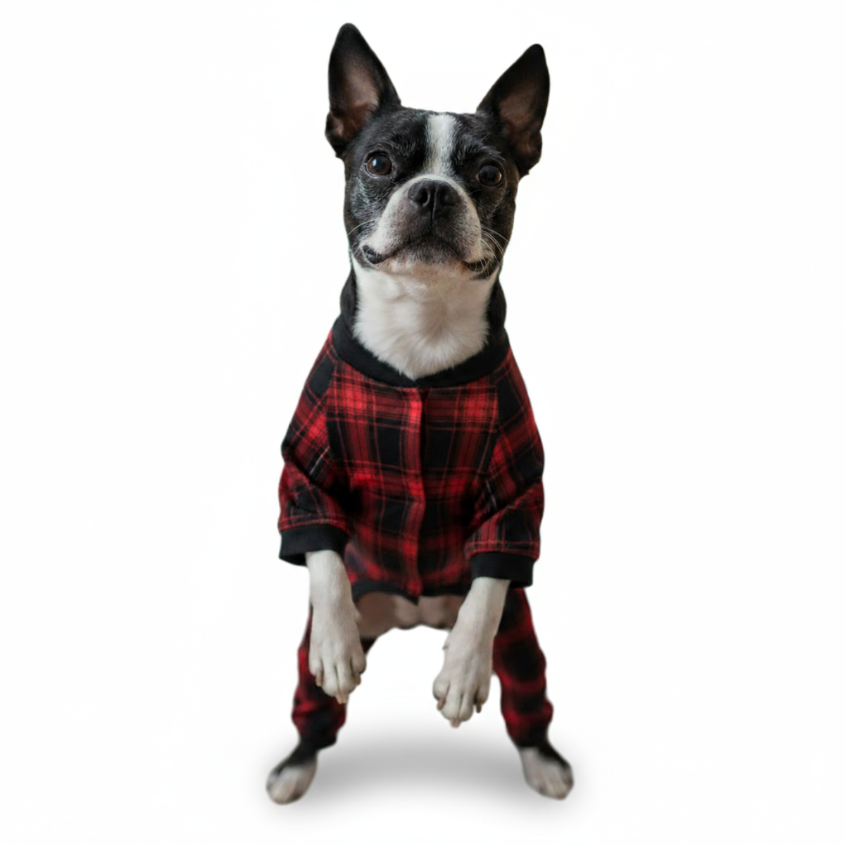 Red Plaid Dog Pajama - Ultra-Soft and Stretch