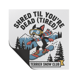 Shred Til You're dead (Tired) Boston Terrier Snow Club Magnets .