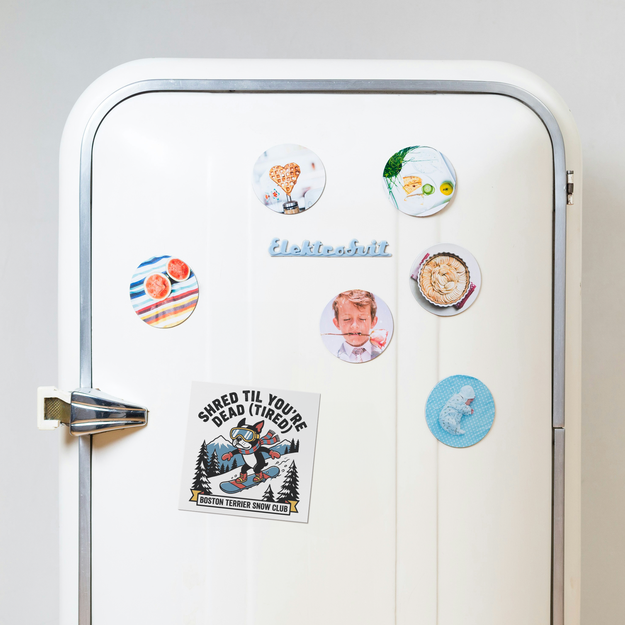 Shred Til You're dead (Tired) Boston Terrier Snow Club Magnets .