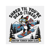 Shred Til You're dead (Tired) Boston Terrier Snow Club Magnets .