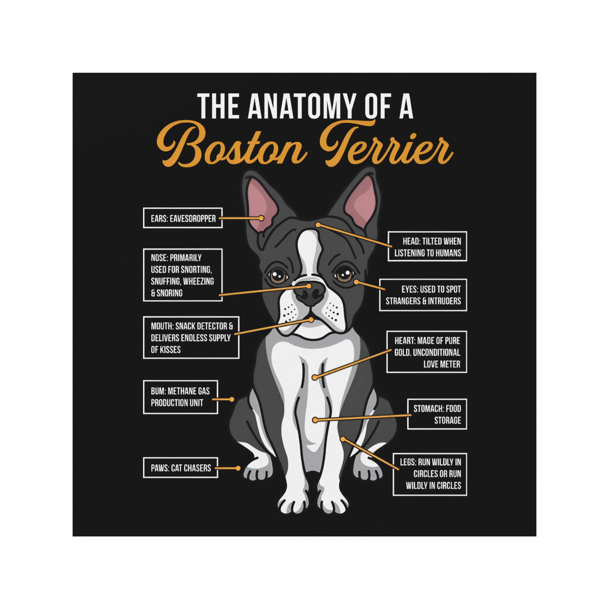 The Anatomy Of The Boston Terrier Magnet
