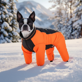 Dog wearing an orange and black snowsuit standing on a snowy landscape with trees and mountains in the background.