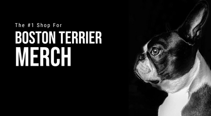 Black and white Boston Terrier illustration with promotional text on a black background