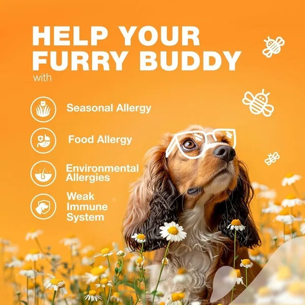 Dog Allergy Relief Chews Itch Relief For Dogs Anti Itch Dog Allergy Chews Dog Itching Skin Relief With Salmon Oil Immune Health Seasonal Allergies & Hot Spots Support Treats