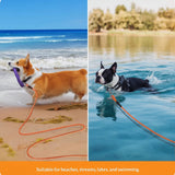 Extra-Long Dog Training Leash (6m / 10m) – Perfect for Swimming, Recall & Outdoor Freedom .