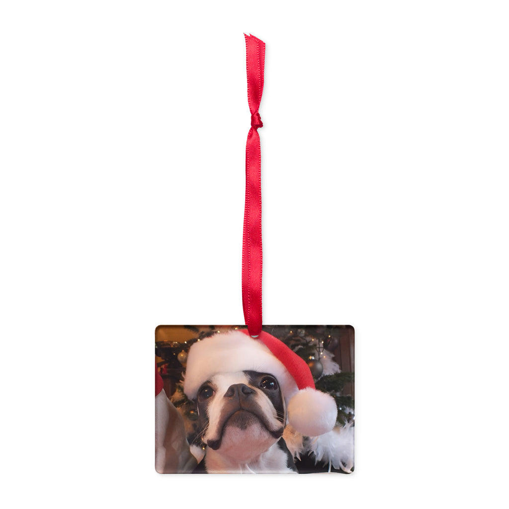 Custom Christmas Acrylic Ornament Using Dog Photo