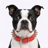 Adjustable PU Leather Studs Dog Collar .