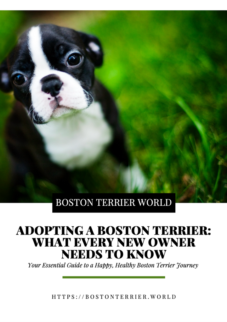 Adopting a Boston Terrier: What Every New Owner Needs to Know Ebook