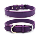 Microfiber Leather Dog Collar
