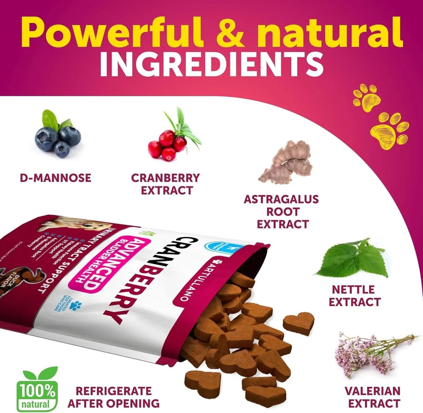 Dog UTI Treatment Cranberry Supplement Bladder Control Urinary Tract Infection Incontinence Pill Bladder Stones UTI Medicine Treats 70 Soft Chews For Kidney Support With Fish Oil