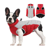Warm Dog Winter Jacket – Thick Padded Waterproof Coat for Cold Weather