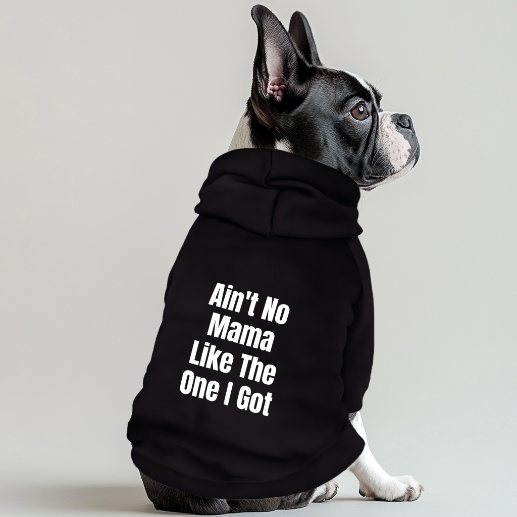 Aint No Mama Like The One I Got 100% Cotton Dog Fleece Hoodie