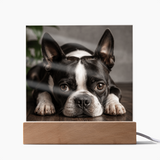 Custom Square Acrylic Plaque With Your Dog's Photo .