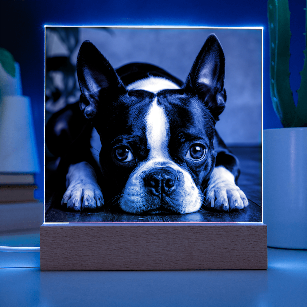 Custom Square Acrylic Plaque With Your Dog's Photo .