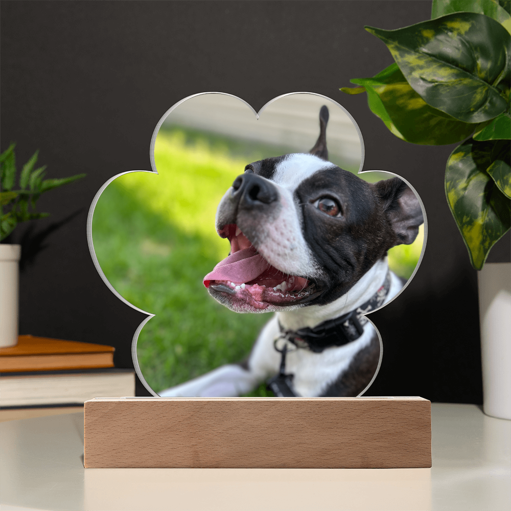 Custom Paw Print Acrylic Plaque With Your Dog's Photo .