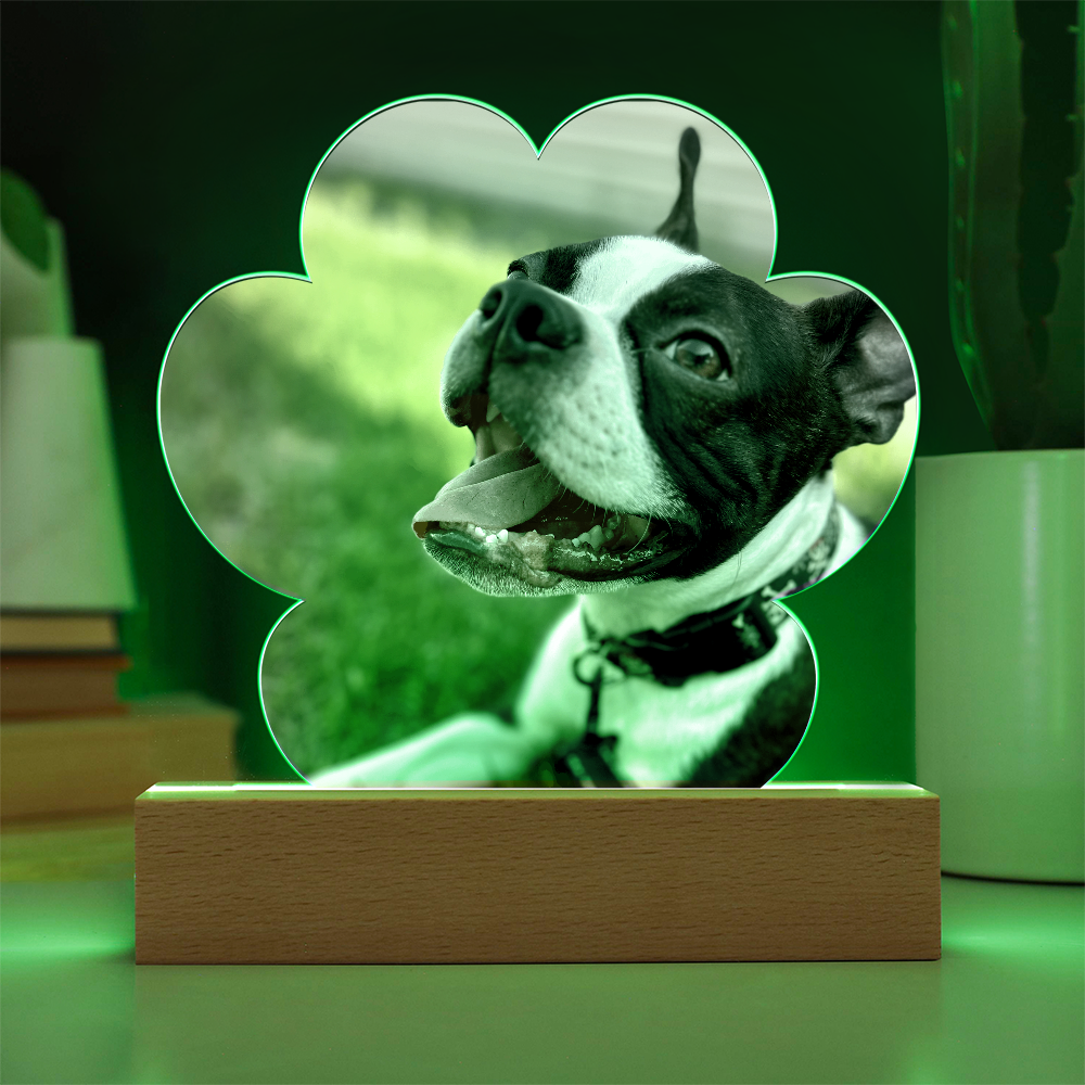 Custom Paw Print Acrylic Plaque With Your Dog's Photo .