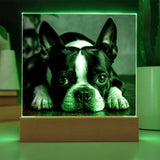 Custom Square Acrylic Plaque With Your Dog's Photo .