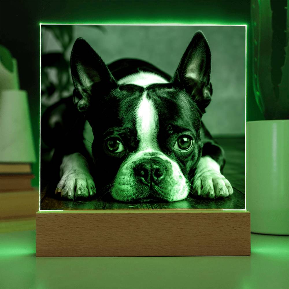 Custom Square Acrylic Plaque With Your Dog's Photo .