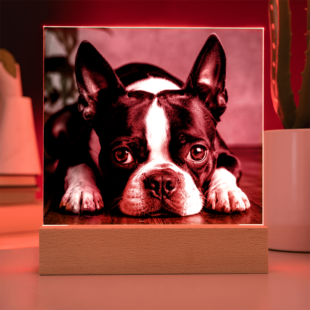 Custom Square Acrylic Plaque With Your Dog's Photo .