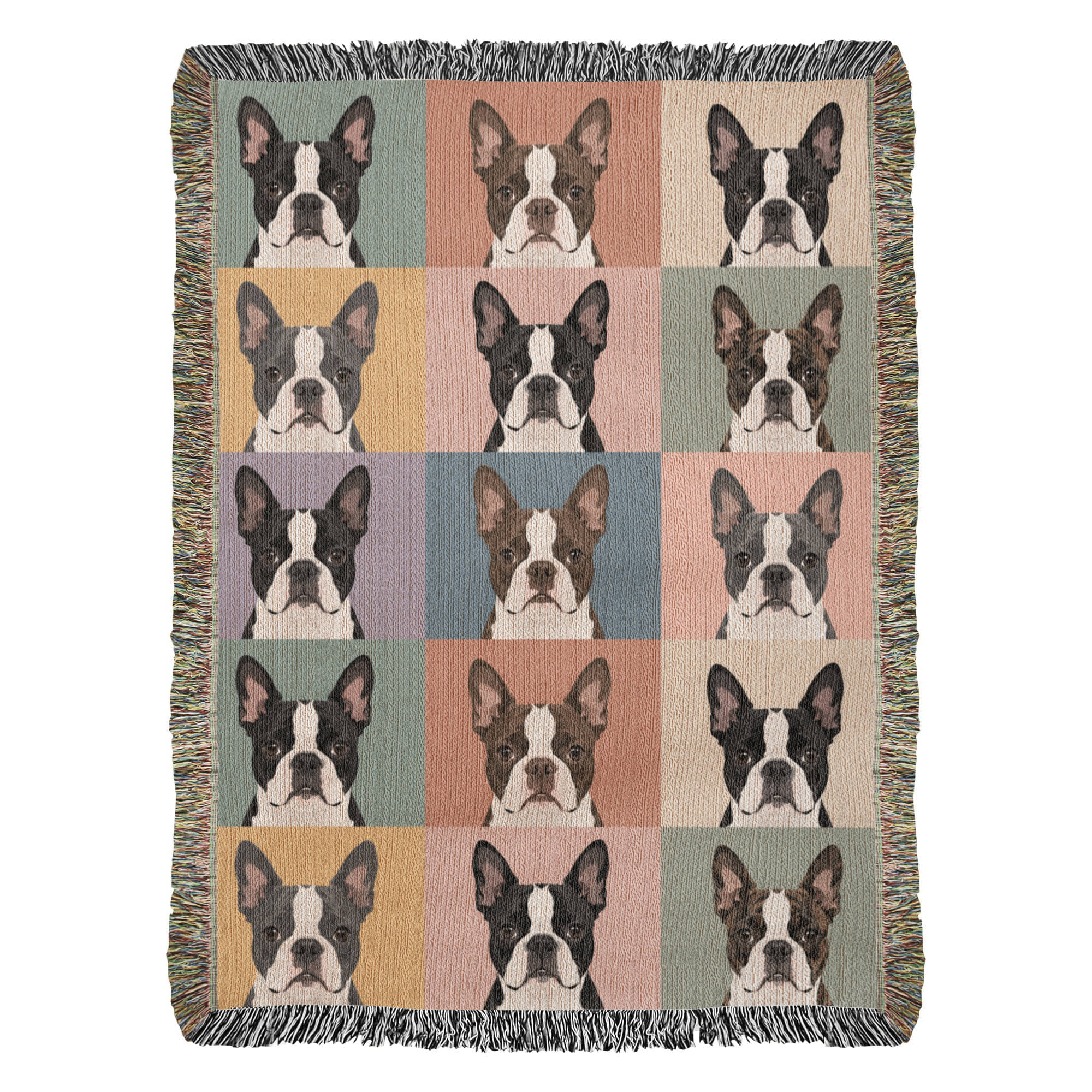 Pop Art Style Colored Boston Terriers Modern Tiles Pattern Woven Blanket . 37" x 52"