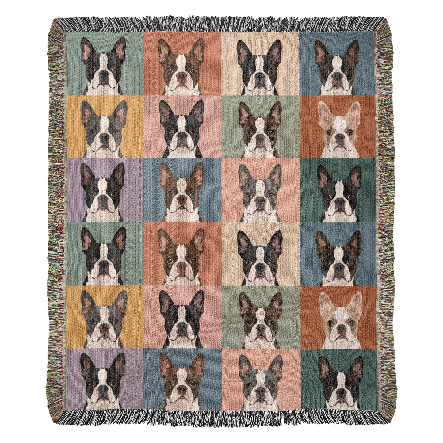 Pop Art Style Colored Boston Terriers Modern Tiles Pattern Woven Blanket . 50" x 60"
