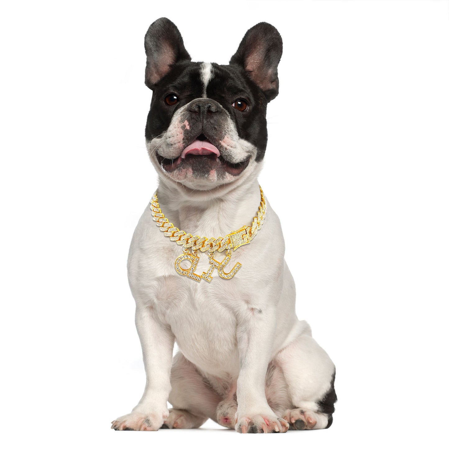 Luxury Alloy Dog Name Chain .