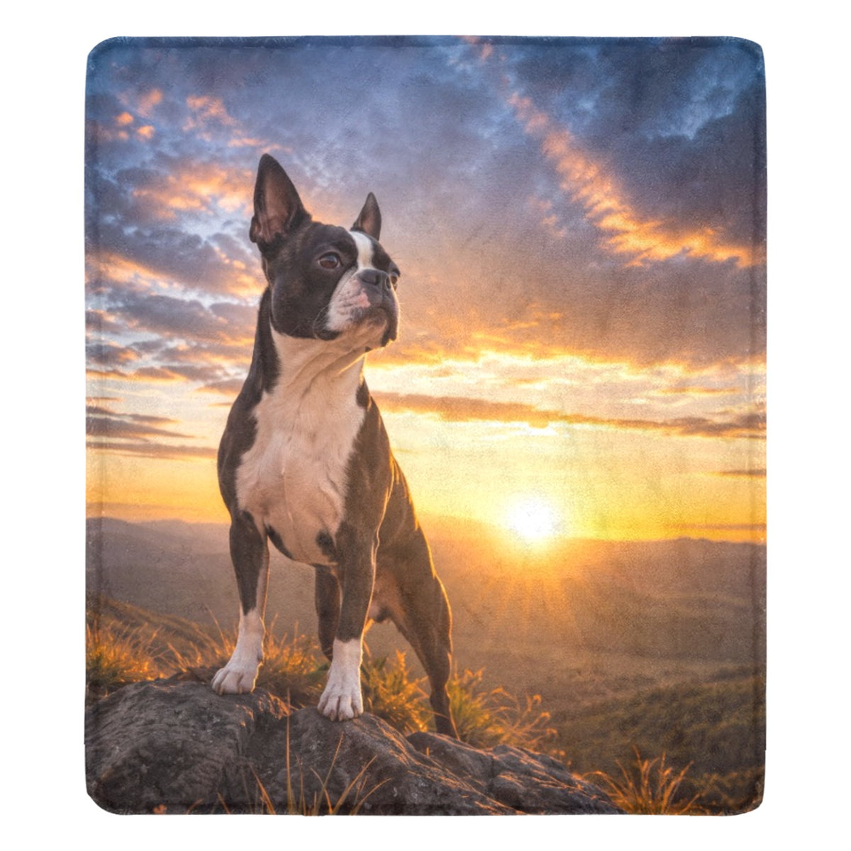 The Sunset Guardian - Boston Terrier - Ultra-Soft Micro Fleece Blanket