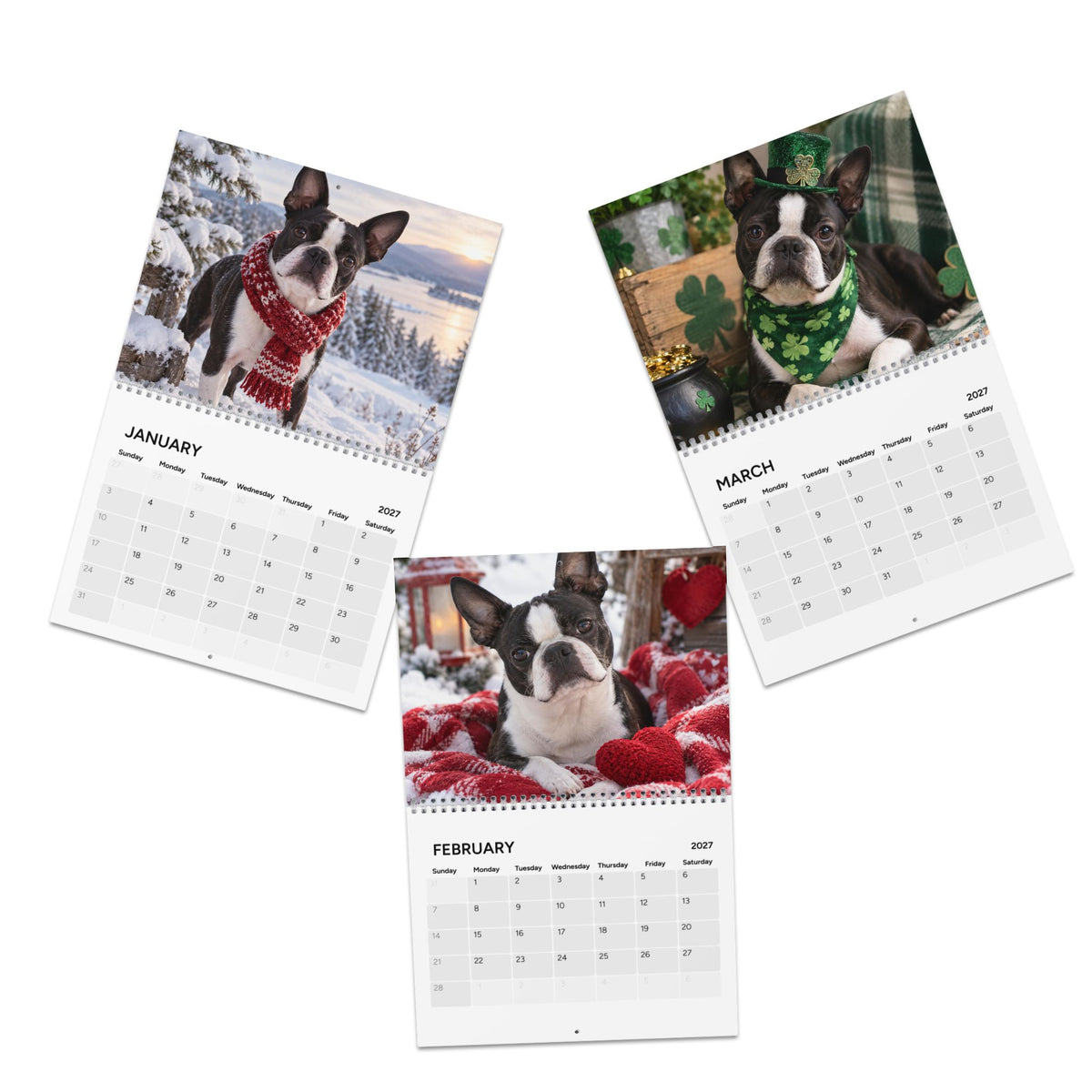 Boston Terrier World 2027 Wall Calendar .
