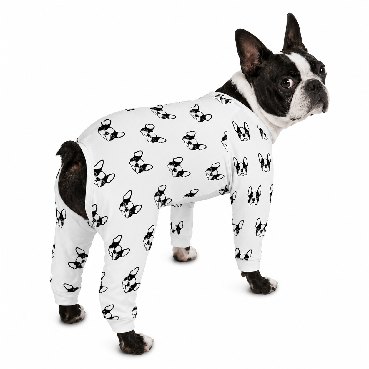 Boston Terrier Dog Faces Dog Pajama - White .
