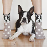Boston Terrier Dog Socks With Polka Dot Printing Socks