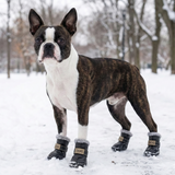 Leather Dog Snow Boots With Fur Lining To Keep Paws Warm .