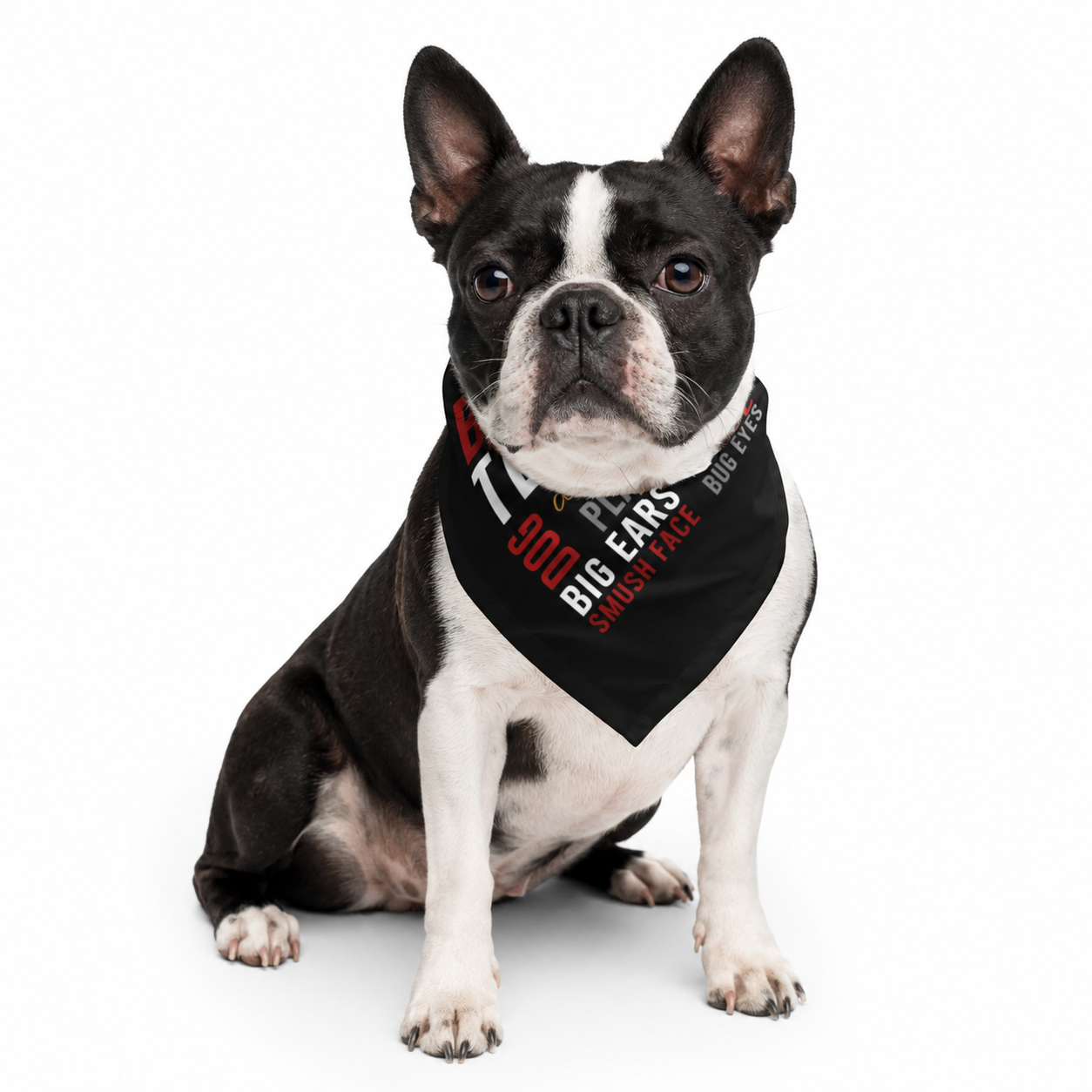 Boston Terrier Word Collage Bandana – Dog Lover Typography Art