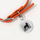 Boston X4 Laser Metal Alloy Dog ID Tag