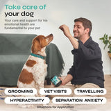 Calming Chews For Dogs Chicken Flavor All Canine Breeds Vet Visits Travel 130 Chews