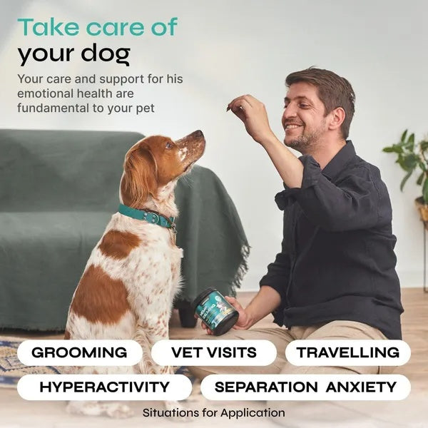 Calming Chews For Dogs Chicken Flavor All Canine Breeds Vet Visits Travel 130 Chews