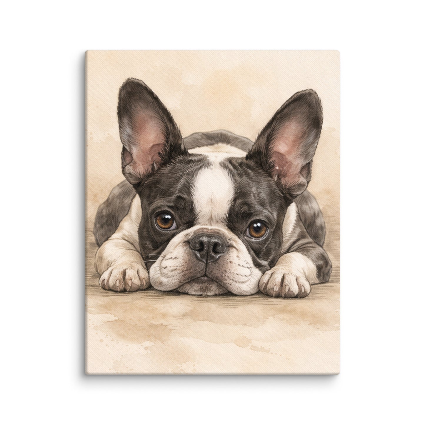 Watercolor Boston Terrier Dog Art Print Canvas . 11″×14″