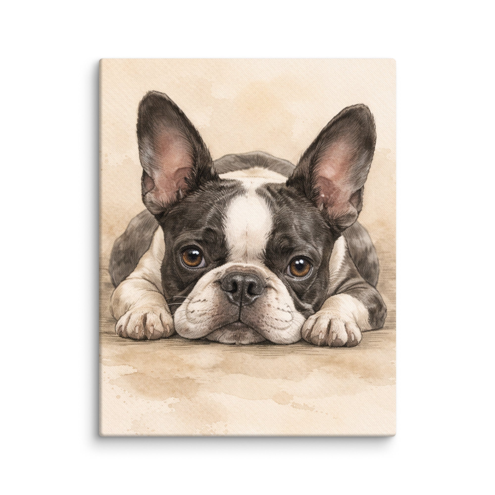 Watercolor Boston Terrier Dog Art Print Canvas . 11″×14″