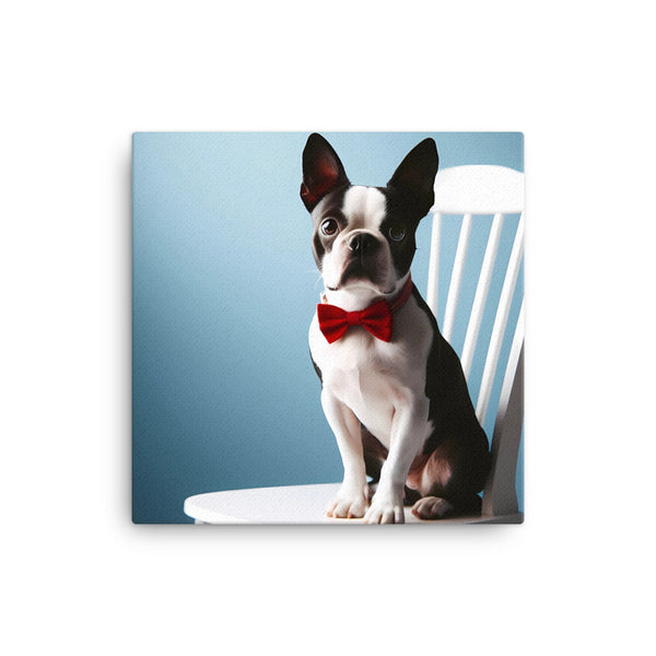 Dapper Boston Terrier in Red Bow Tie Seated on White Chair Canvas