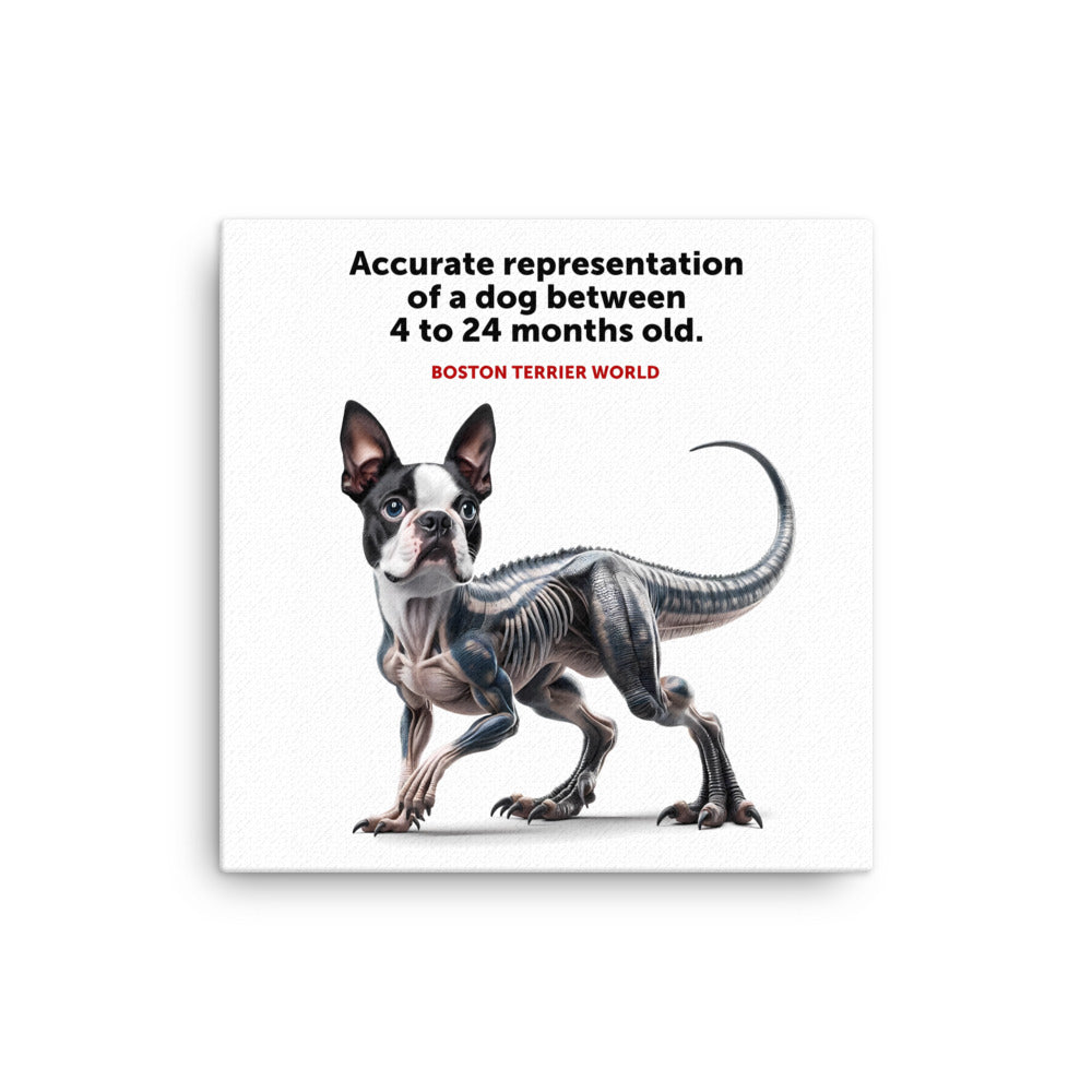 Accurate Representation of a Dog (Boston Terrier) between 4 to 24 Months old Canvas