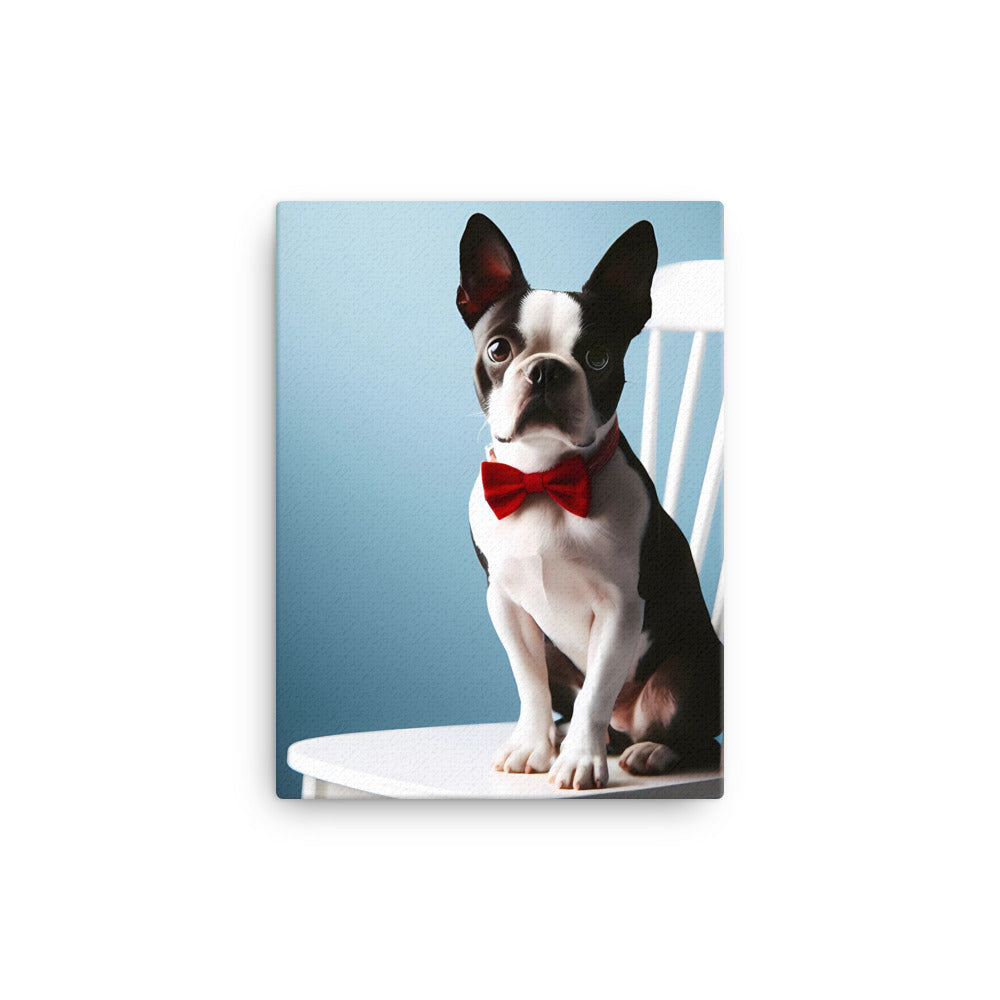 Dapper Boston Terrier in Red Bow Tie Seated on White Chair Canvas