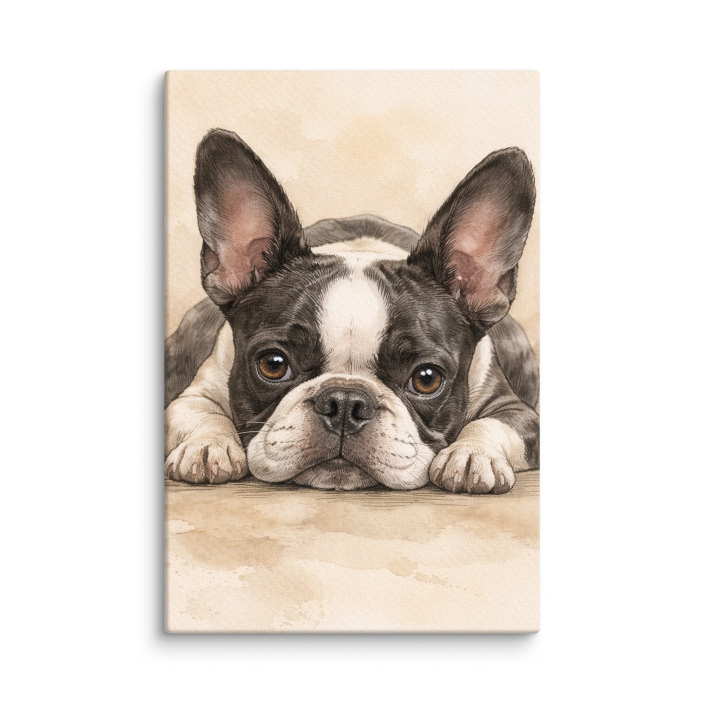 Watercolor Boston Terrier Dog Art Print Canvas . 12″×18″