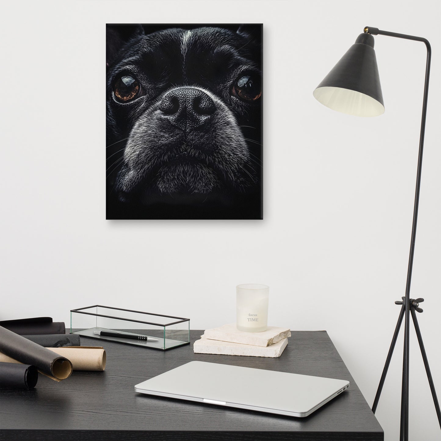 Boston Terrier Dog Face Closeup Canvas