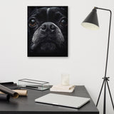 Boston Terrier Dog Face Closeup Canvas