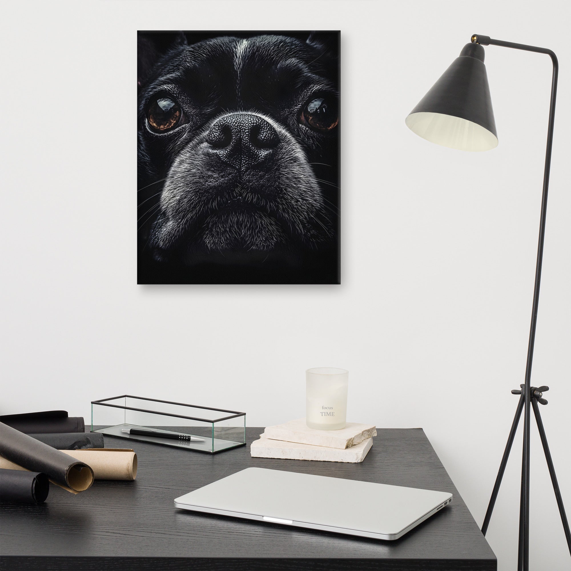 Boston Terrier Dog Face Closeup Canvas