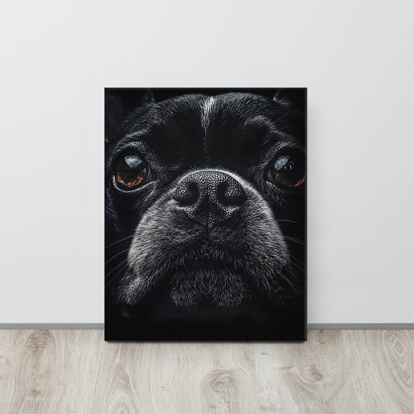 Boston Terrier Dog Face Closeup Canvas