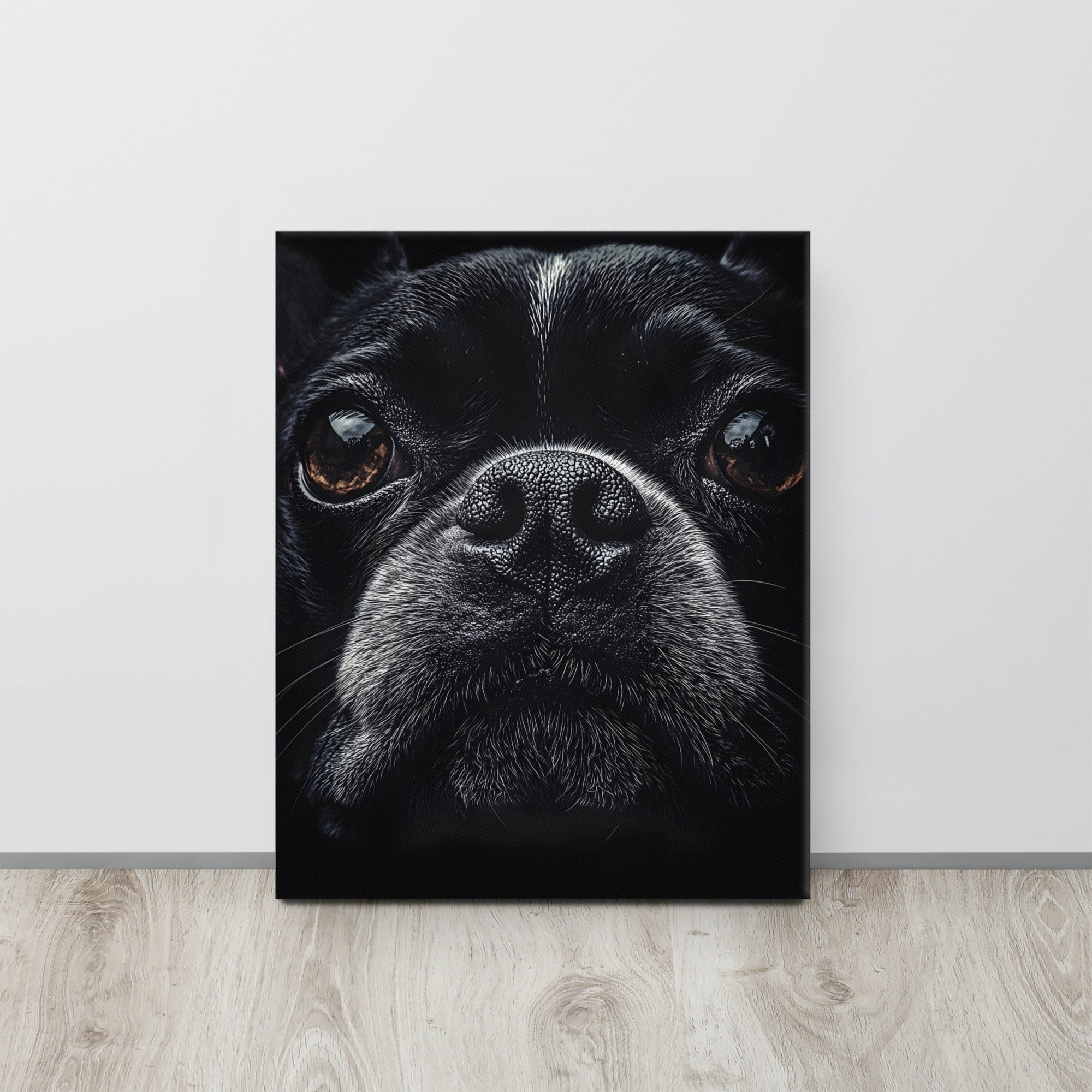 Boston Terrier Dog Face Closeup Canvas