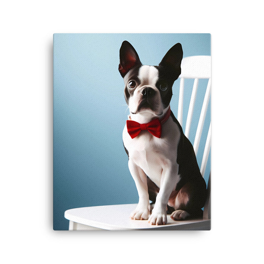 Dapper Boston Terrier in Red Bow Tie Seated on White Chair Canvas